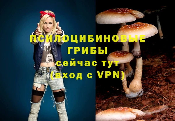 винт Арсеньев